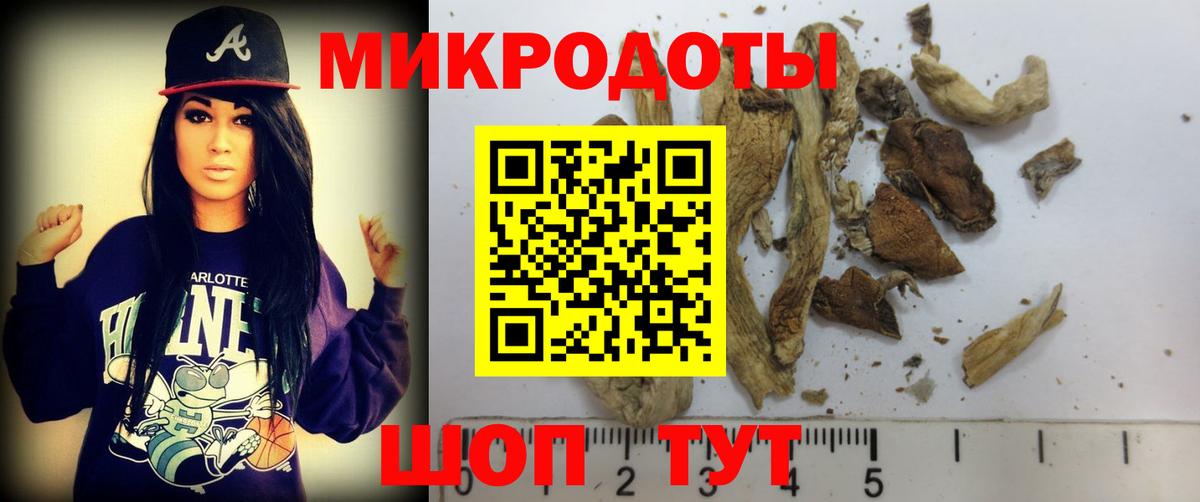 Псилоцибиновые грибы мухоморы Новодвинск